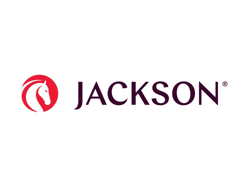 Jackson National Life logo - Lansing Michigan employer - VMS resume writing clients