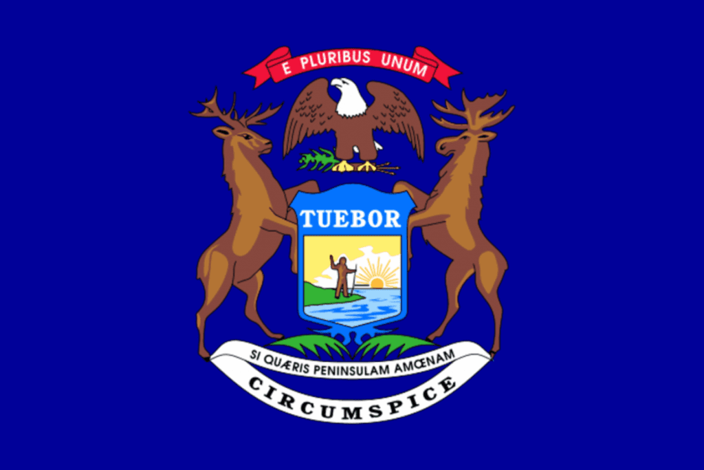 Vertical Media Solutions | employment agencies in lansing mi